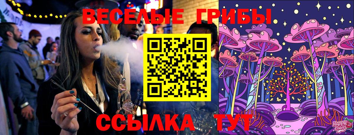 Псилоцибиновые грибы Psilocybine cubensis Нижний Новгород