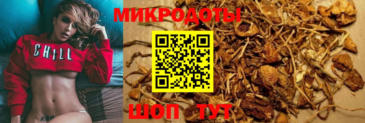 Галлюциногенные грибы Magic Shrooms  купить наркоту  Нижний Новгород  Вход с VPN 